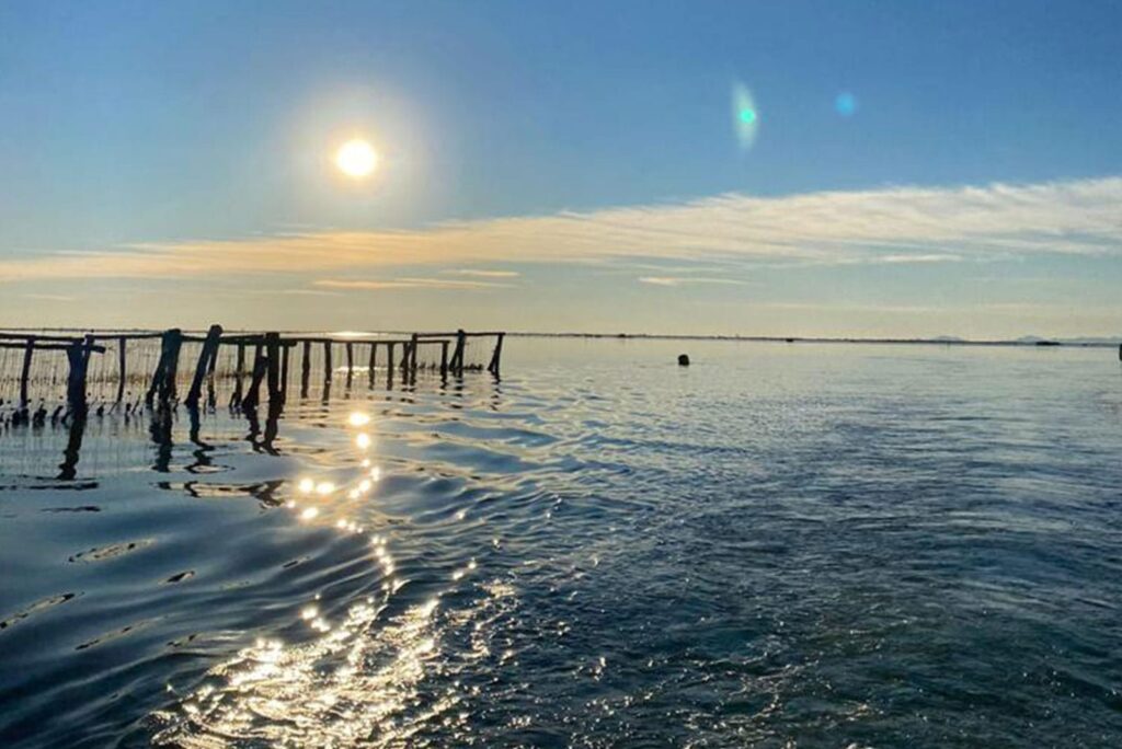 baia-dei-porci-laguna-venezia